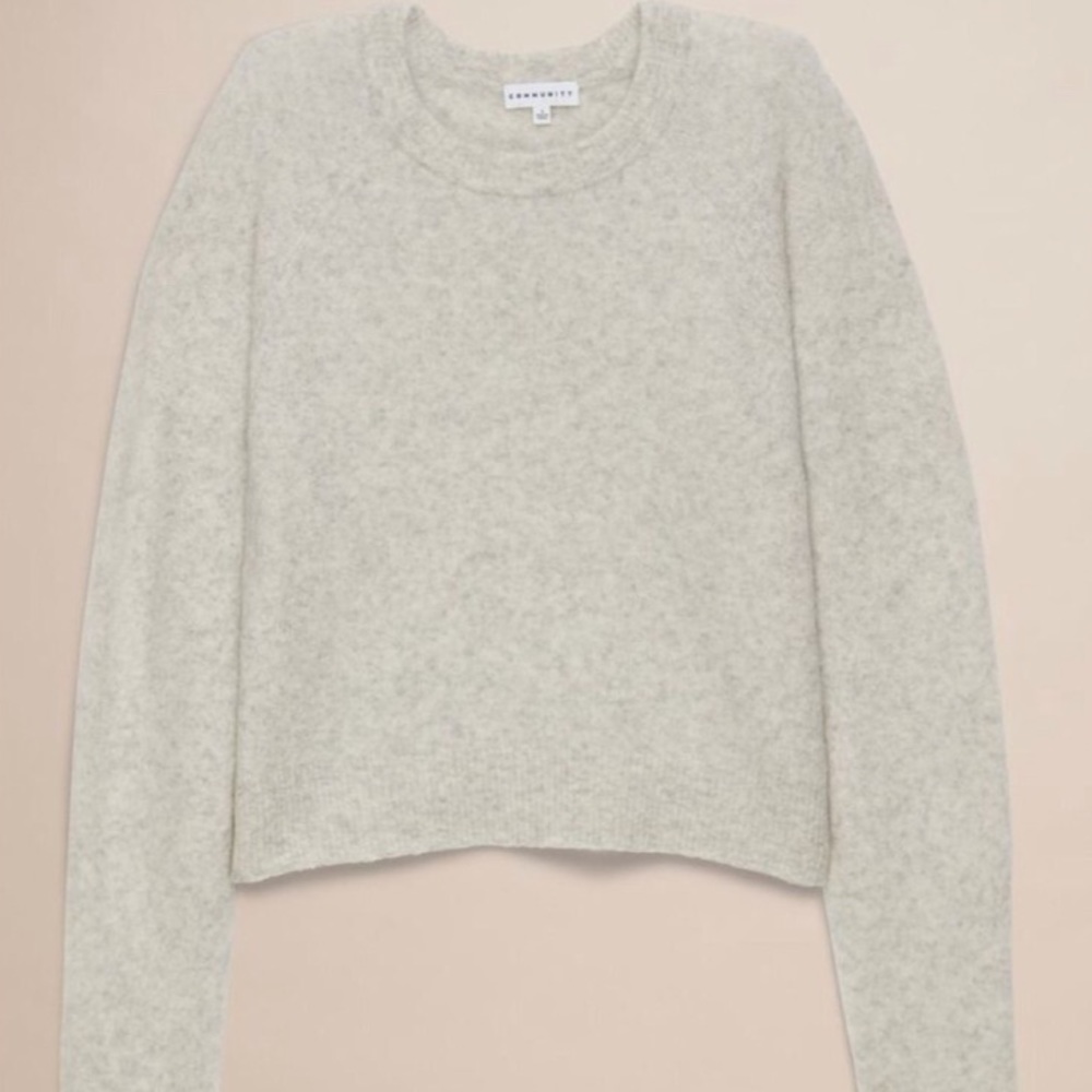 Aritzia Crew Neck Sweater